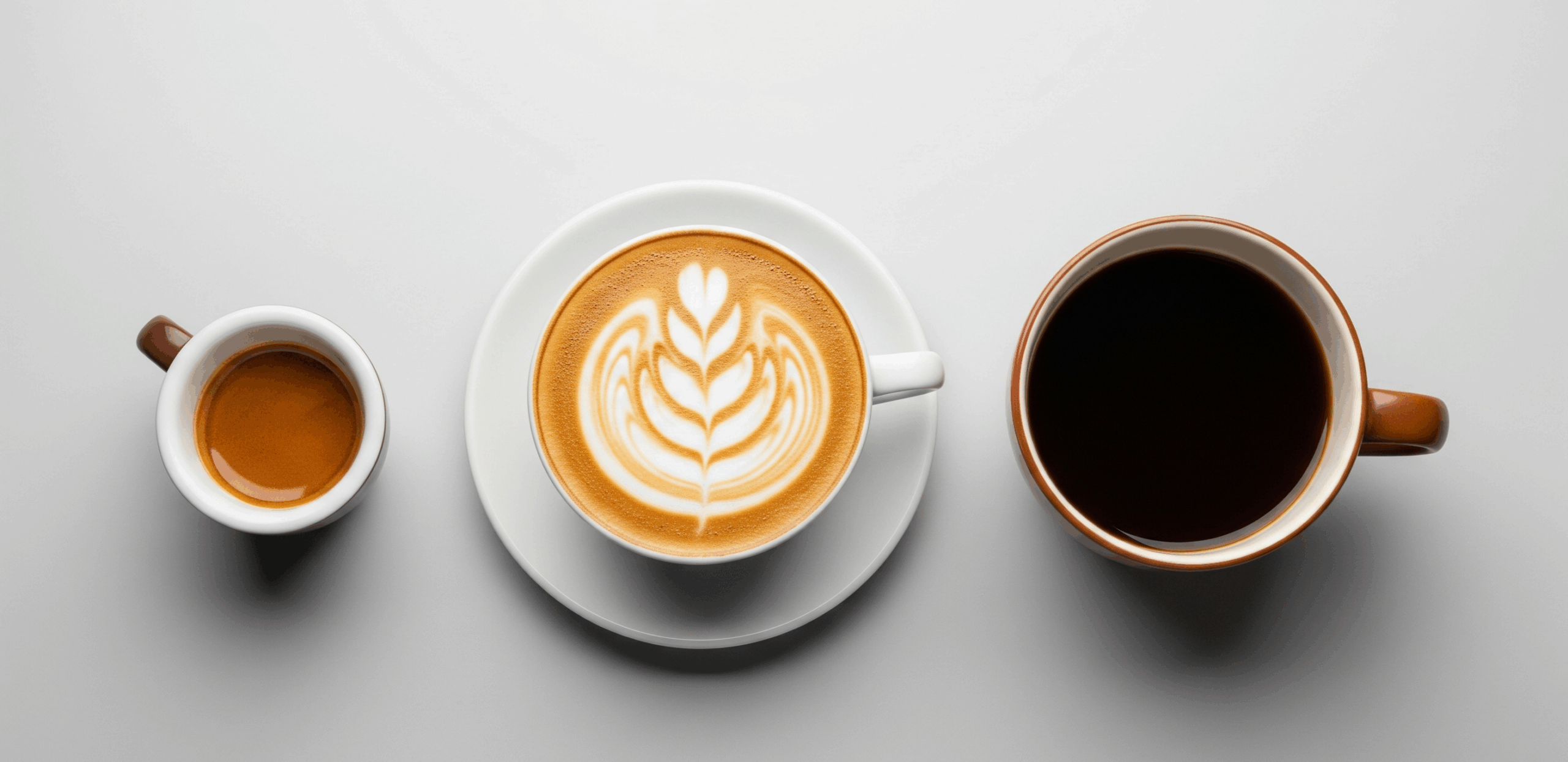 The Science Behind Coffee: What We Got Wrong for Decades