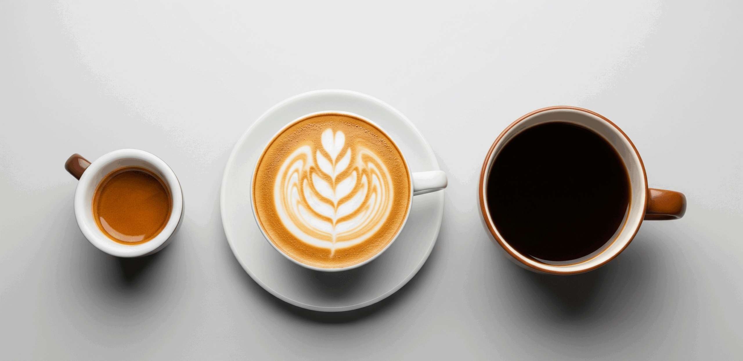 The Science Behind Coffee: What We Got Wrong for Decades